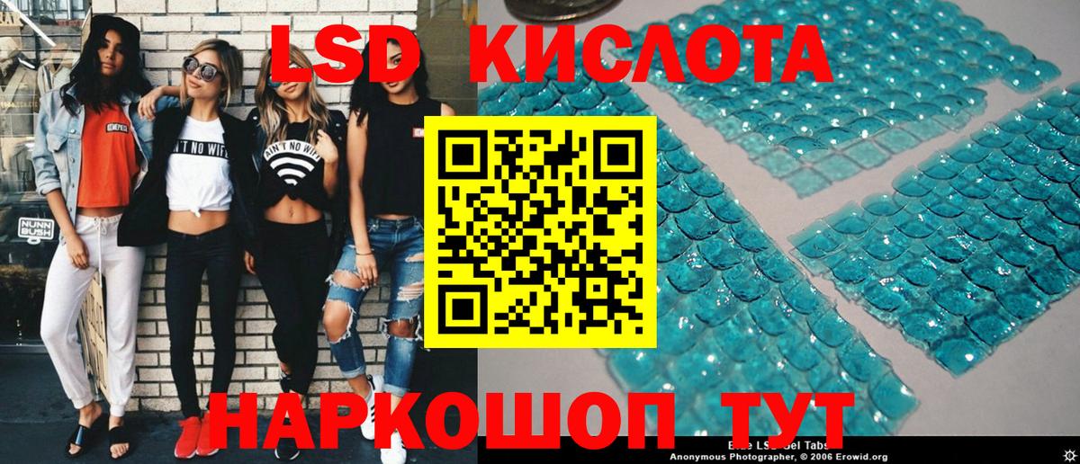 Губкин  наркотики  Вход с VPN  Марки NBOMe 1,5мг  Марки NBOMe 1,5мг 