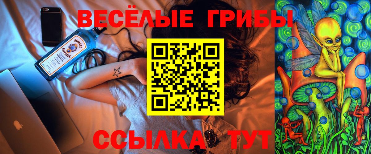 купить  цена  Вход с VPN  Губкин  Псилоцибиновые грибы GOLDEN TEACHER 